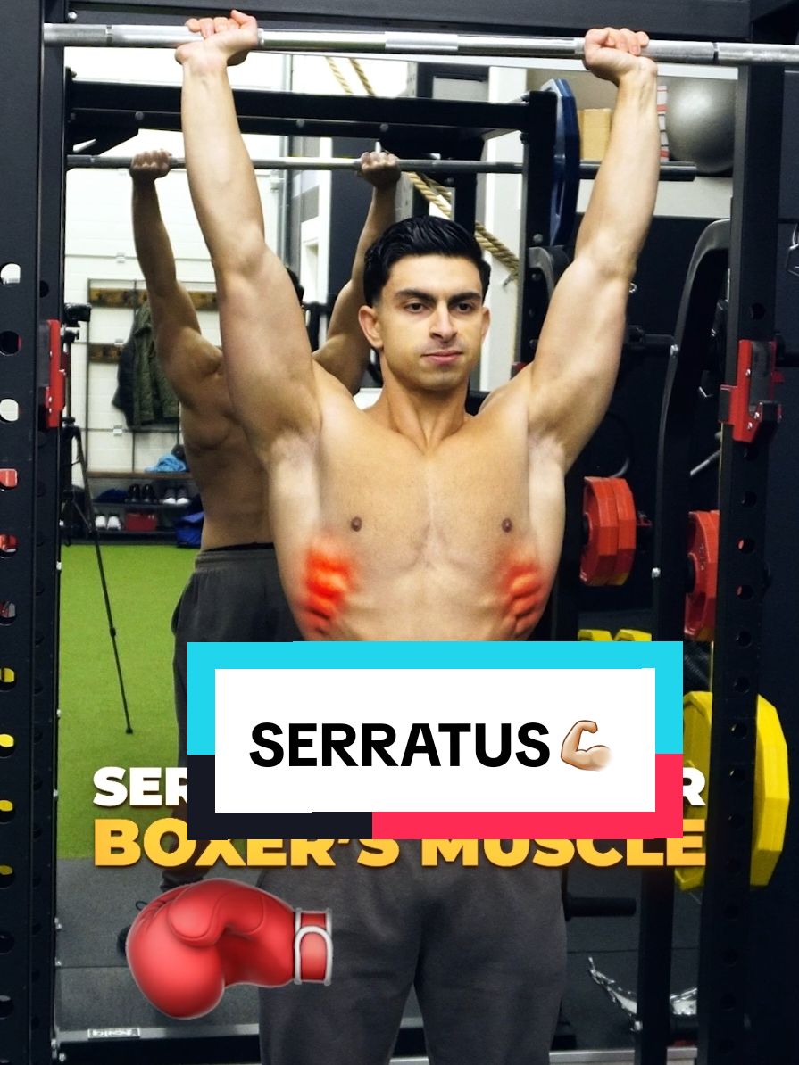 🏆Underrated Muscle: Serratus Anterior #serratus #mobility #shoulderday #deltoids #fitnesstips #hypertophy #foryou #GymTok 