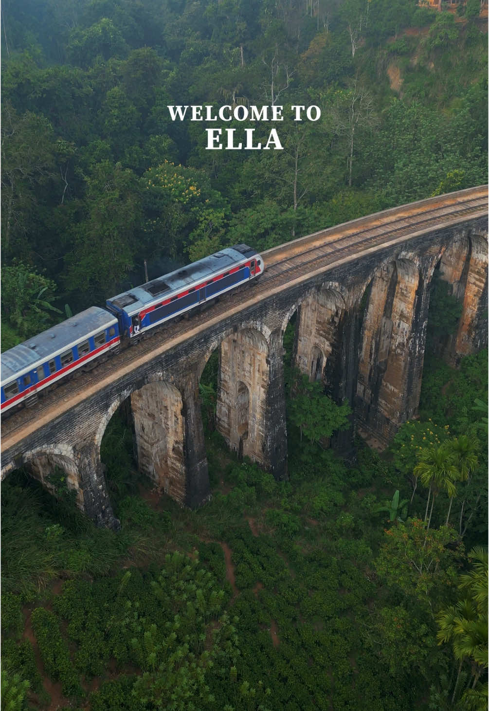 Welcome to Ella 🇱🇰🌿🐒✨ The most iconic place in Sri Lanka and we understand why 😍 #srilanka #ella #ellasrilanka #srilankatravel #srilanka🇱🇰 #srilankatrip #travelsrilanka #visitsrilanka #travelvibes #ceylon #naturelover #ninearchbridge #waterfalls #travelcouple #traveltiktok #traveltok 