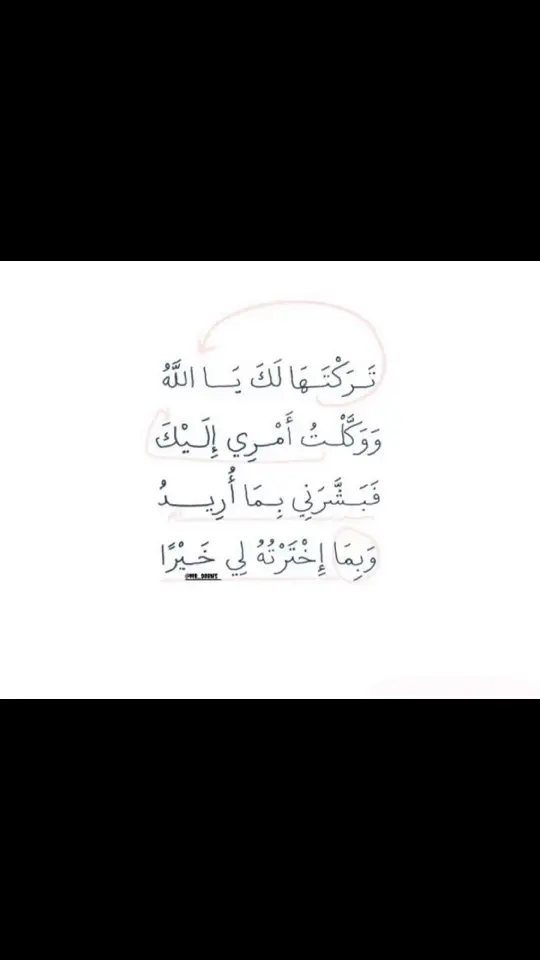 #امالي_خلق_احط_هاشتاقات #قران_كريم 