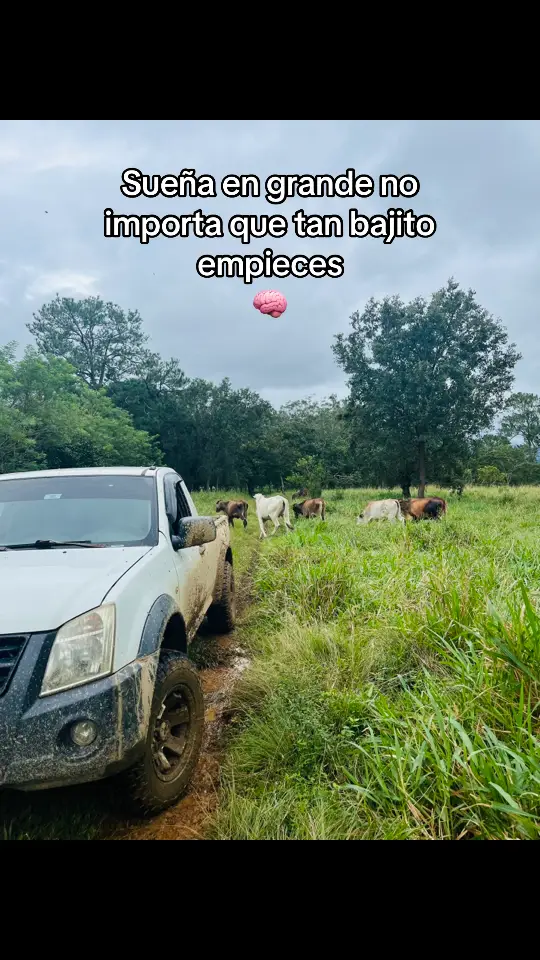 #fyp #parati #viral #Ranch #ganaderia🐂🐎 #ganaderia 