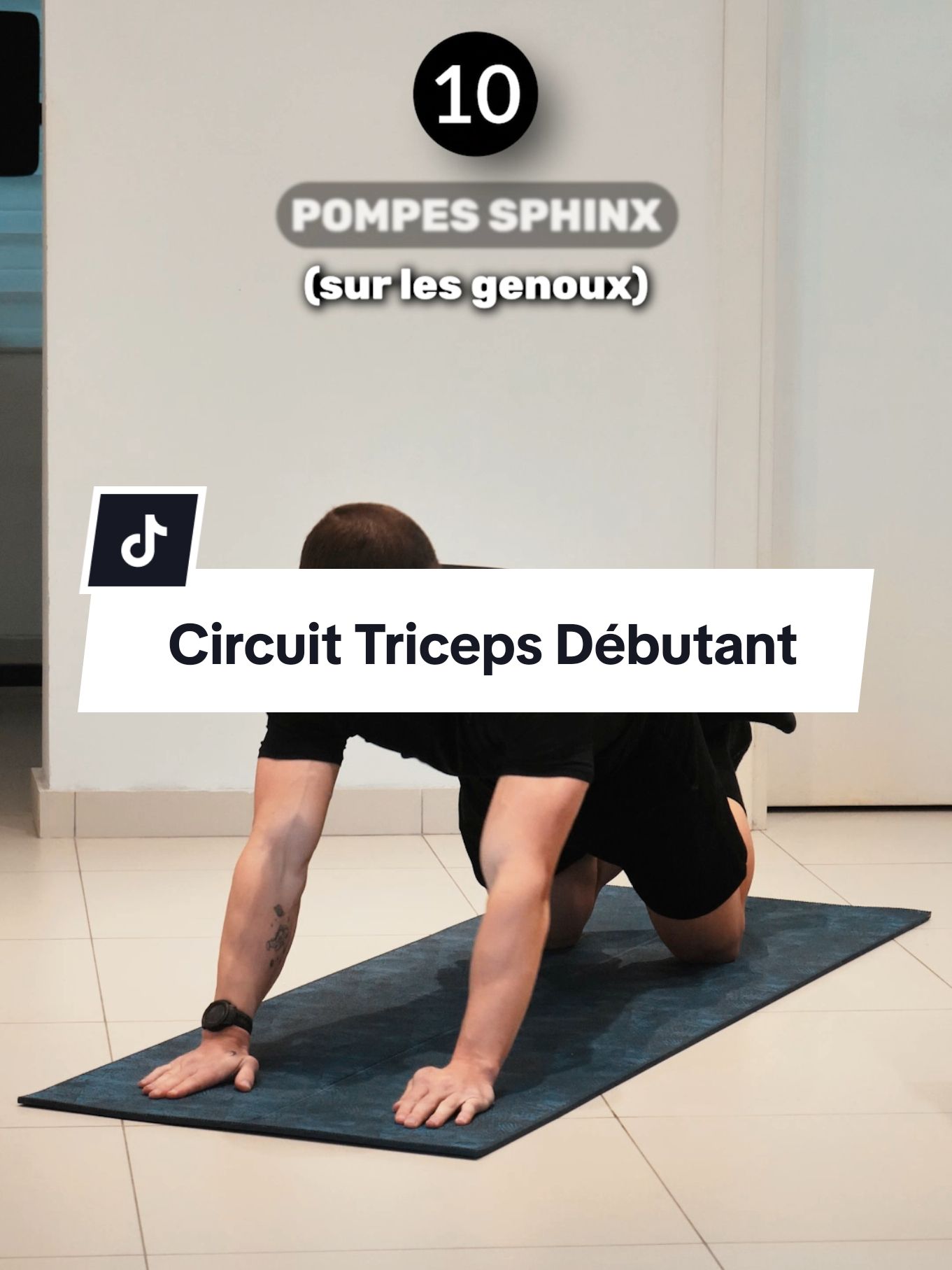 Dis-moi en commentaire si tu essaie ce circuit! ✍🏽💪🏽 👉🏽 Muscler ses triceps sans matériel (Débutant) 💪🏽🔥 #tricepsworkout #debutant #musculation #triceps #pushupsworkout 