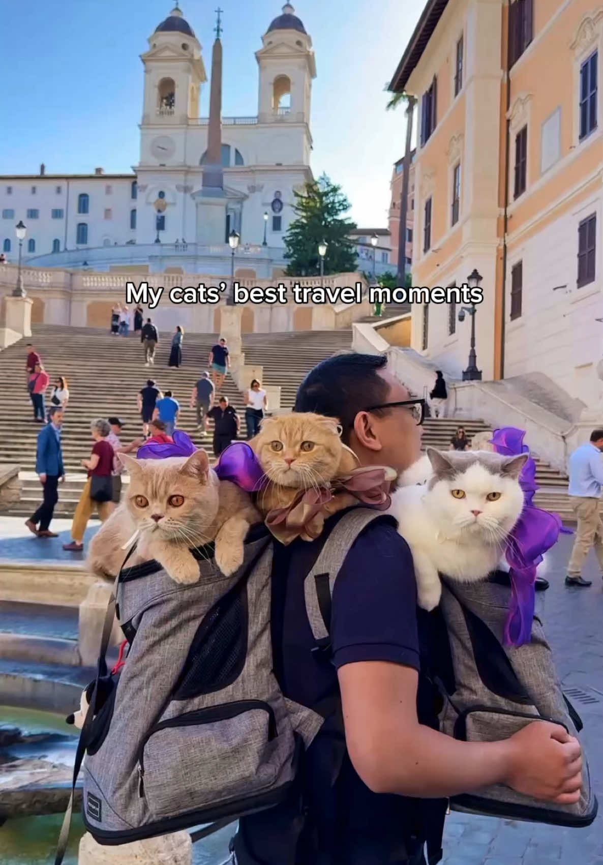Traveling with my little ones = priceless memories ✨ So glad I found Winkit to keep those moments alive and vibrant forever😻 #PreciousMoments #WinkitApp #Aifilter #Ai #Photoediting #Videoediting #WinkitPartner #catsoftiktok #PetsOfTikTok #travel #cats #cat