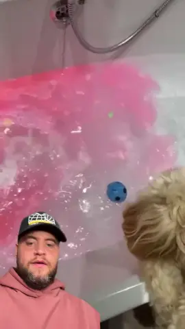#duet DIFFERENT TYPES OF BATH BOMBS - IG - richardsalesofficial #viral #xyzbca #xyzbca #FYP 