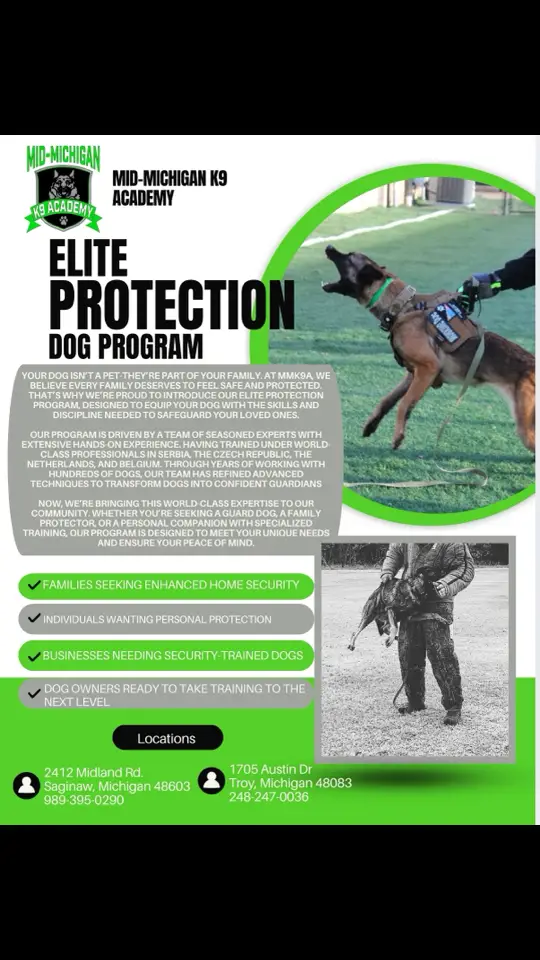 Bring your dog in for a free evaluation.  We can train tour dog to protect you or source a dog from Europe. Protect your family today!