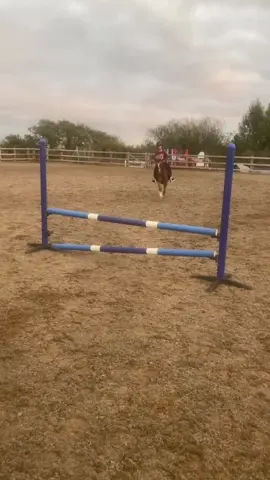 I wish you grew taller, i miss you everyday chi i love you forever 💔 pony of a lifetime #missyou #chichi #fyp 
