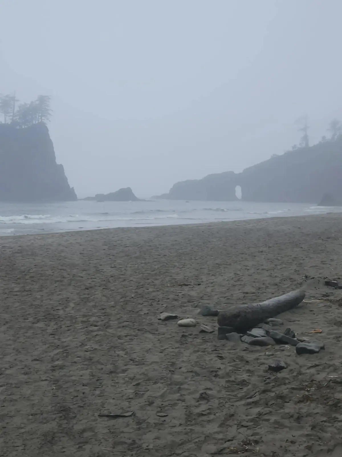 While we were visiting Olympic National Park,  I booked a campsite near Forks, Washington. I had now idea the Twilight Series was based out of this town. Great area, even if you have to keep an eye out for Vampires and Werewolves. #burningriverbushcraft #forkswashington #twilight #olympicnationalpark #hohrainforest #rialtobeach #lapush 