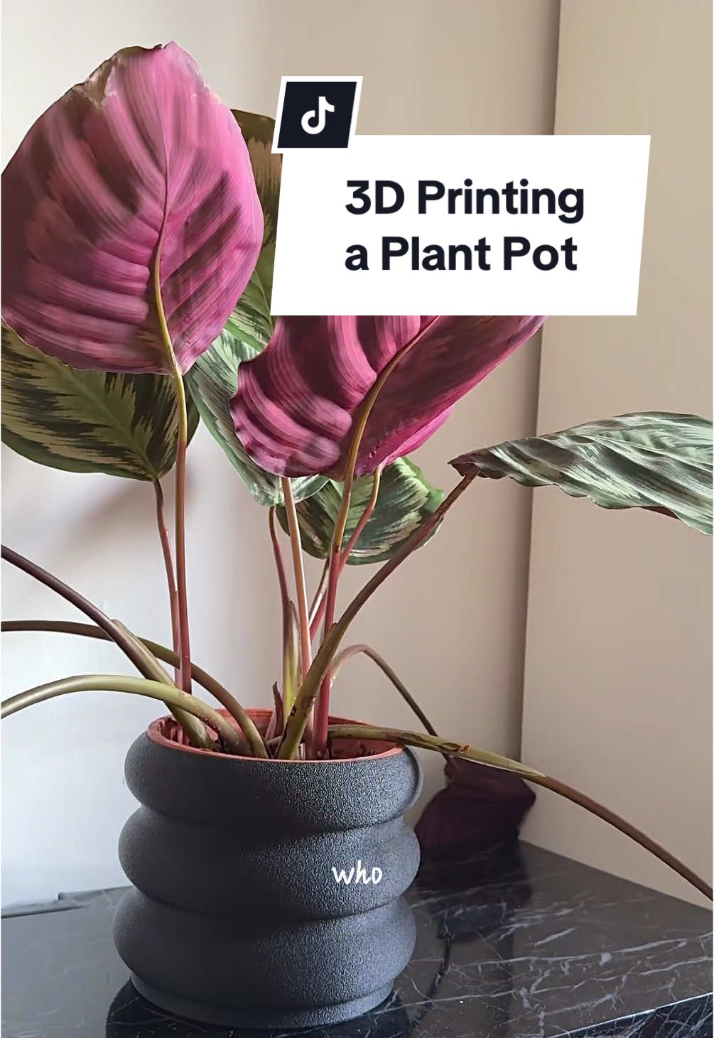 Let this video be your sign to finally use the stuff you’ve bought 😅. I can’t believe I left this 3D printer in a cupboard for over two years 🤦🏽‍♀️ Anyways… glad I finally put it to work because I think I’ve found a new hobby! What should I make next? 👀 Plant pot model is from tychodesign on @printablescom it’s call ‘chubby planter’ 🫶🏽 #easydiy #crafts #3dprinting #diyproject #creatorsearchinsights 