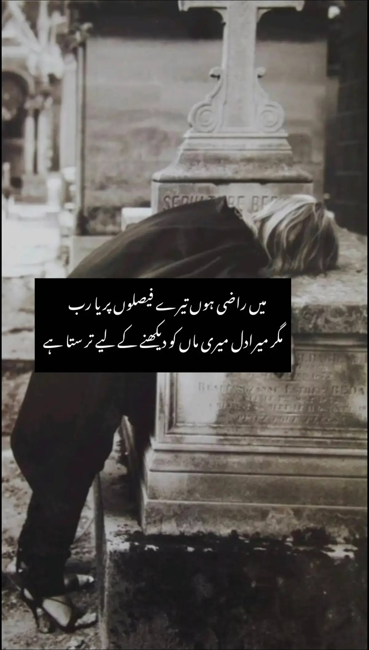 مگر میرادل میری ماں کو د یکھنے کے لیے ترستا ہے  sachiii#😩😩   I miss you so much Ami  jaan#😩😩 #😭 #😞🥀 #😔💔🥀 #💔🥀 #😭 #😭 #😭 #😩😩 #😩😩 #😩😩 #😩😩 #😭 #😩😩 #😭 