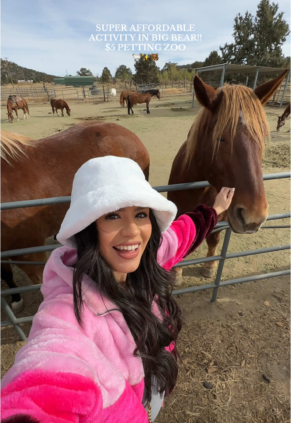 The horses were so sweet and the employees were amazing! ✨🌲 #MomsofTikTok #momlife #momtok #youngmom #dayinmylife #spendthedaywithme #bigbear #bigbeartrip #bigbearlake #justagirl #bigbearactivities #affordableactivities #snowactivities #winteractivities #baldwinlakestables #pettingzoo #cherokeebearpettingzoo #affordable #Vlogmas #vlogmas2024 