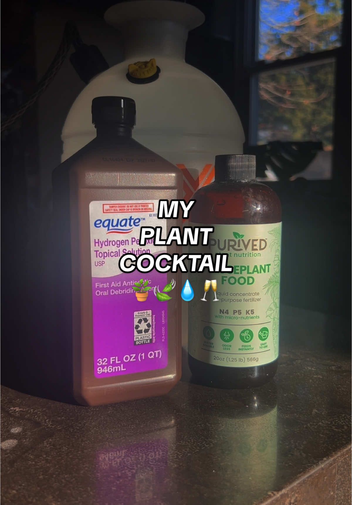 My Jungle Juice 🪴🍃💦 #plantlover #plantwatering #wateringday #plantenthusiast #plantok #monstera 