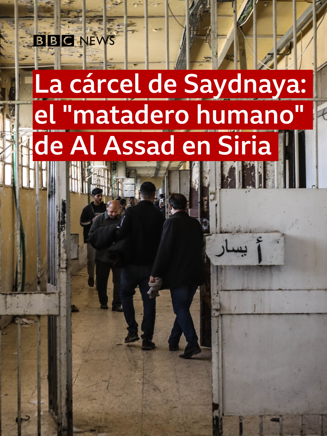 Es una de las prisiones más secretas del mundo y que muchos llaman “la prisión roja” o “el matadero humano” por cuenta de las ejecuciones que tenían lugar allí cada semana. La prisión de Saydnaya es el lugar donde la familia Assad ha retenido a opositores a su régimen por más de 50 años y nunca antes habíamos visto imágenes de adentro. Cuando entraron los rebeldes a Damasco y cayó el régimen de Bashar al Assad, una de las primeras cosas que hicieron fue abrir las puertas de la prisión y liberar a cientos de personas, hasta mujeres y niños. Un par de días después, muchos siguen buscando los nombres de sus familiares en los documentos, los buscan en las celdas, en las paredes, bajo el piso y en cuartos ocultos. Laura García (@lauragarciarb)te cuenta sobre la historia de la prisión y lo que encontró el corresponsal especial de @bbcarbi Feras Kilani, cuando estuvo en terreno. 🎥 Reuters, Getty, BBC Arabic, Anadolu Agency vía Getty Images