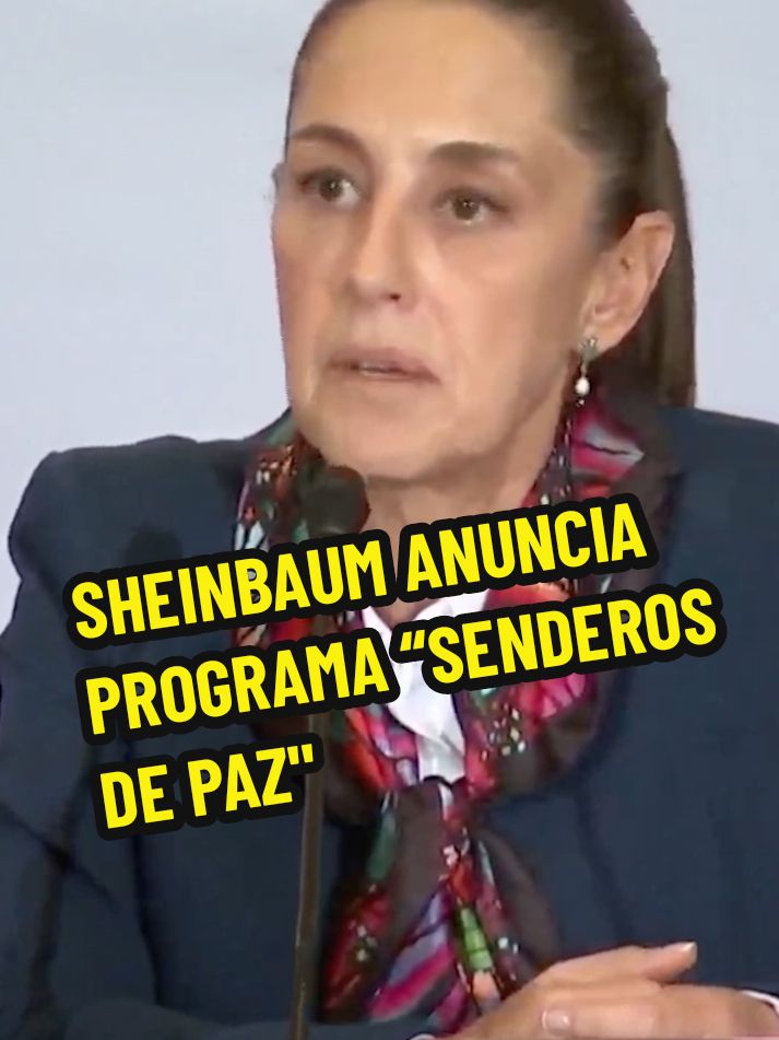 Sheinbaum anuncia la implementación del programa “Senderos de Paz” La presidenta Claudia Sheinbaum destacó que el objetivo es “llenar de luz” a todos los municipios del país. Para lograrlo, convocará a los alcaldes a inicios de 2025, buscando su colaboración, adelantó que planea replicar el programa “Sendero Seguro”, implementado previamente en la Ciudad de México en conjunto con Clara Brugada. #seguridad #cdmx #alcaldes #senderosdeluz #senderosseguros #Luz #noticia #parati #fy #viral #video_viral