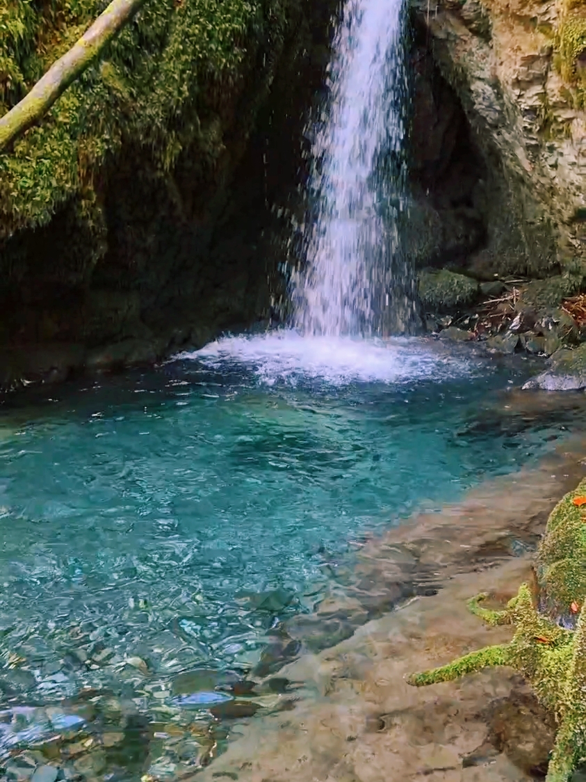 Forest Lagoon...💚 #waterfall #forest  #lagoon #switzerland #forestvibes #naturevibes #nature #water #naturelover #natureathome #goodvibes #positivevibes #feelings #relaxing #relaxingvideos #calm #calmdown #calming #enjoy #fyp #piano #swiss 