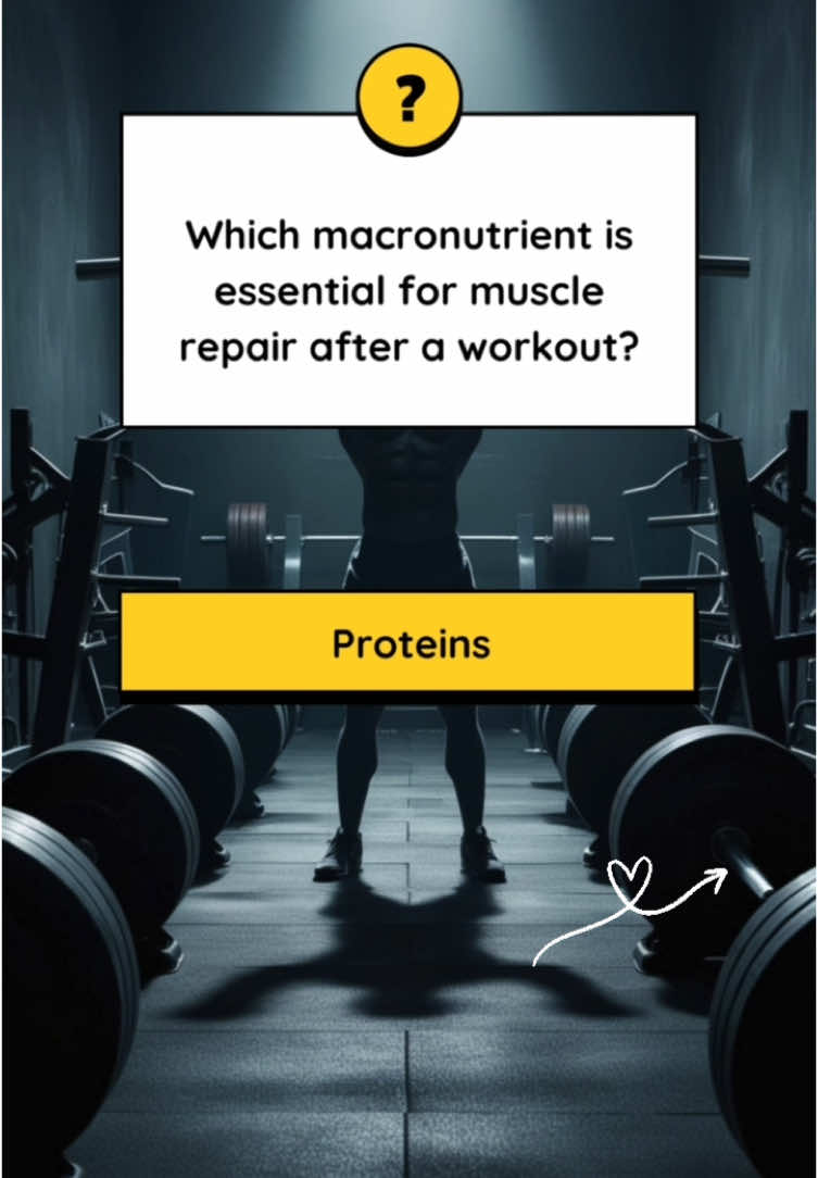 Quiz GYM #fyp #viral_video #viralvideos #virale #popular #crazy #Goat #bodybuilding #gym #GymTok #gymmotivation #gymrat #davidlaid_motivation #david #laid #davidlaidfitness #davidlaid #fyp #gymshark #physique #gymtok #davidlaidedit #motivation #gymrat #bodybuildingmotivation #davidlaidfitness #viral #cbum #esthetique #pourtoi #creatine #kevinlevrone #ronniecoleman #foryoupage #walker #smoke #smoker #better #nosmokinng #gym #gymtok #gymmotivation #GymLife #gymhumor #gymbro #gymlover #workout #work #workhard #workhardplayhard #aesthetics #aestheticvideos #Aestheticvibes #aestheticedits #aestheticsounds #quiz #Quiz 