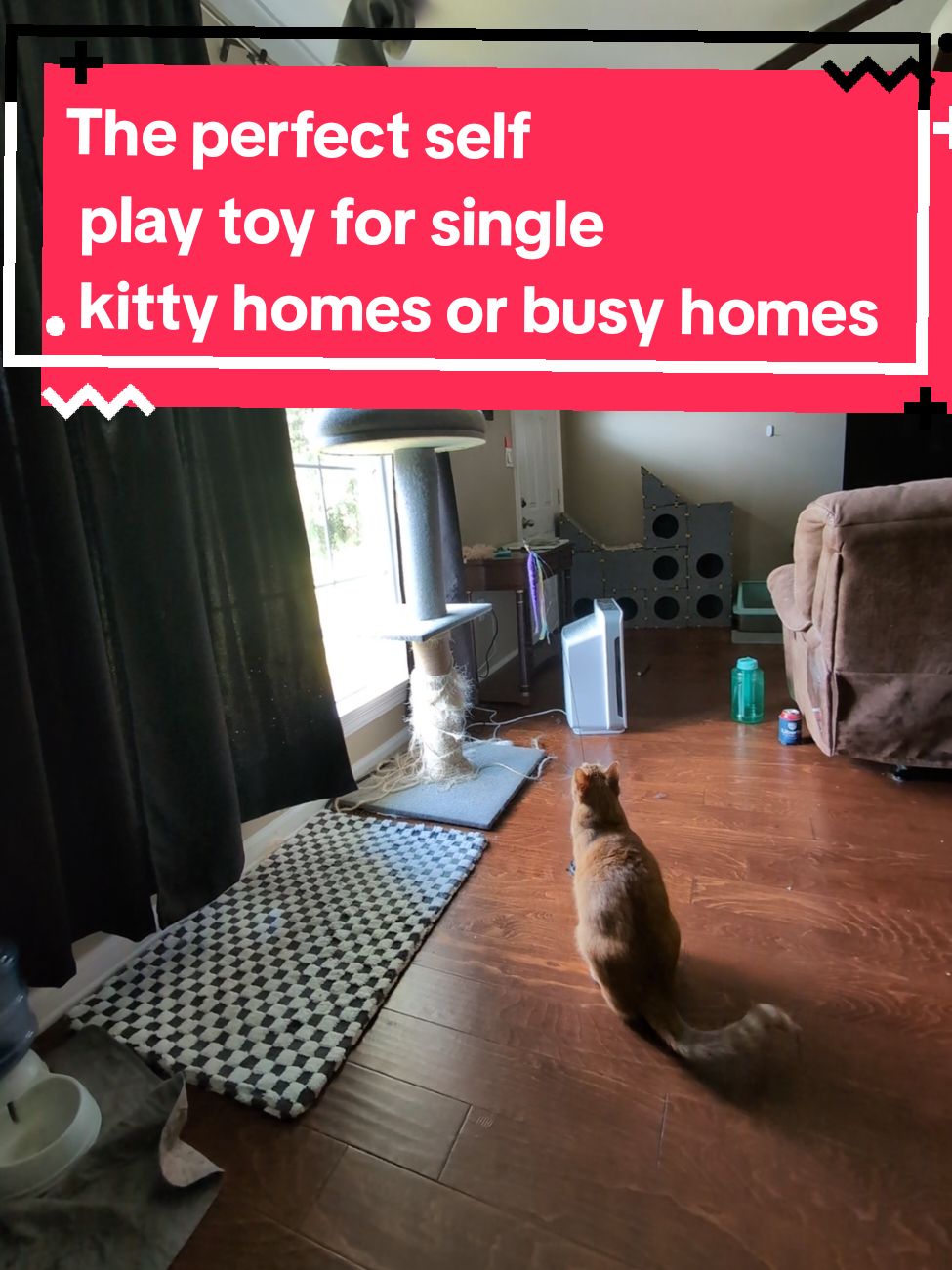 If you have any questions lmk #catselfplaytoy #cattoys #bestcattoys #singlecathomes #catplay #catenrichment #kitten #kittentok #feathertoy #wandtoy #handsfreecattoy 