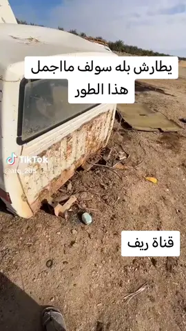 يطارش سولف...جاسب 