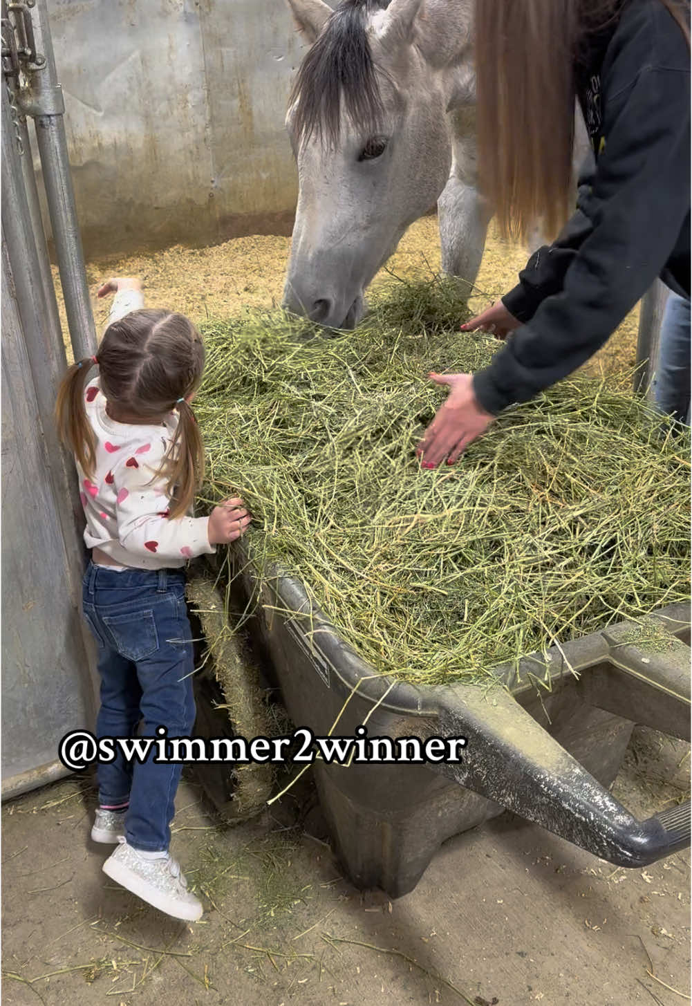 Putting in the hard work making sure her horses are all fed! #fyp #toddler #toddlersoftiktok #viral #horse #barnlifeisthebestlife #horsesoftiktok #blessed #horsetok #toddlermom 