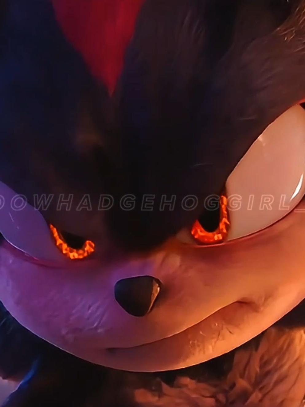 EXCLUSIVE CLIP !!!!! 🤯😱🤯😱🤯😱🤯😱🤯😱🤯 AHHHHHH OMFG !!! AHHHHH #sonicthehedgehog #sonicx #sonicmovie3 #shadowedit #sonic3 #shadowedit #shadowmovie   #shadoworiginal #shadowprime #shadowgenerations  #sonicxshadow #sonicx #shadowedit #shadowthehedgehog #shadow  #shadowthehedgehog  #sonicxshadowgenerationsdarkbeginnigs  #sonicxshadowgenerations    #shadowedit #shadowgirl_edit  #fyp #fypシ #trend #viral  #fypシ゚viral #foryou #foryoupage #fyp #fypシ #fypシ゚viral #foryou #foryoupage #foryou #foryoupage #foryou #foryoupage #foryou #foryoupage #foryou #foryoupage #foryou #fyp #fypシ #trend #viral  #fypシ゚viral #foryou #foryoupage #fyp #fypシ #fypシ゚viral #foryou #foryoupage #foryou #foryoupage #foryou #foryoupage #foryou #foryoupage #foryou #foryoupage #foryou 