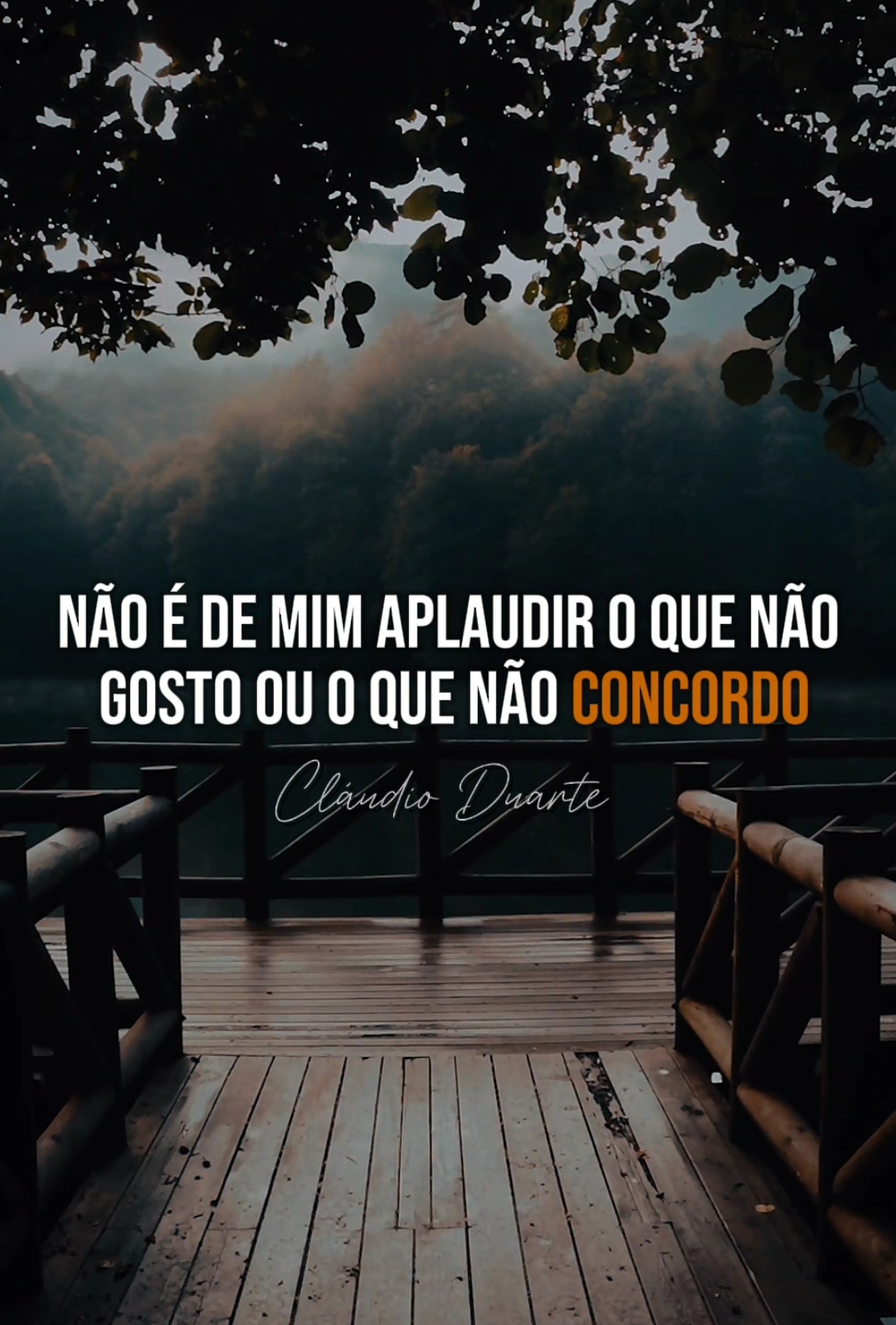 Estou em paz comigo mesmo! amém  #claudioduarte #prclaudioduarte #statuswhatsapp #reflexao #reflexaododia #status 