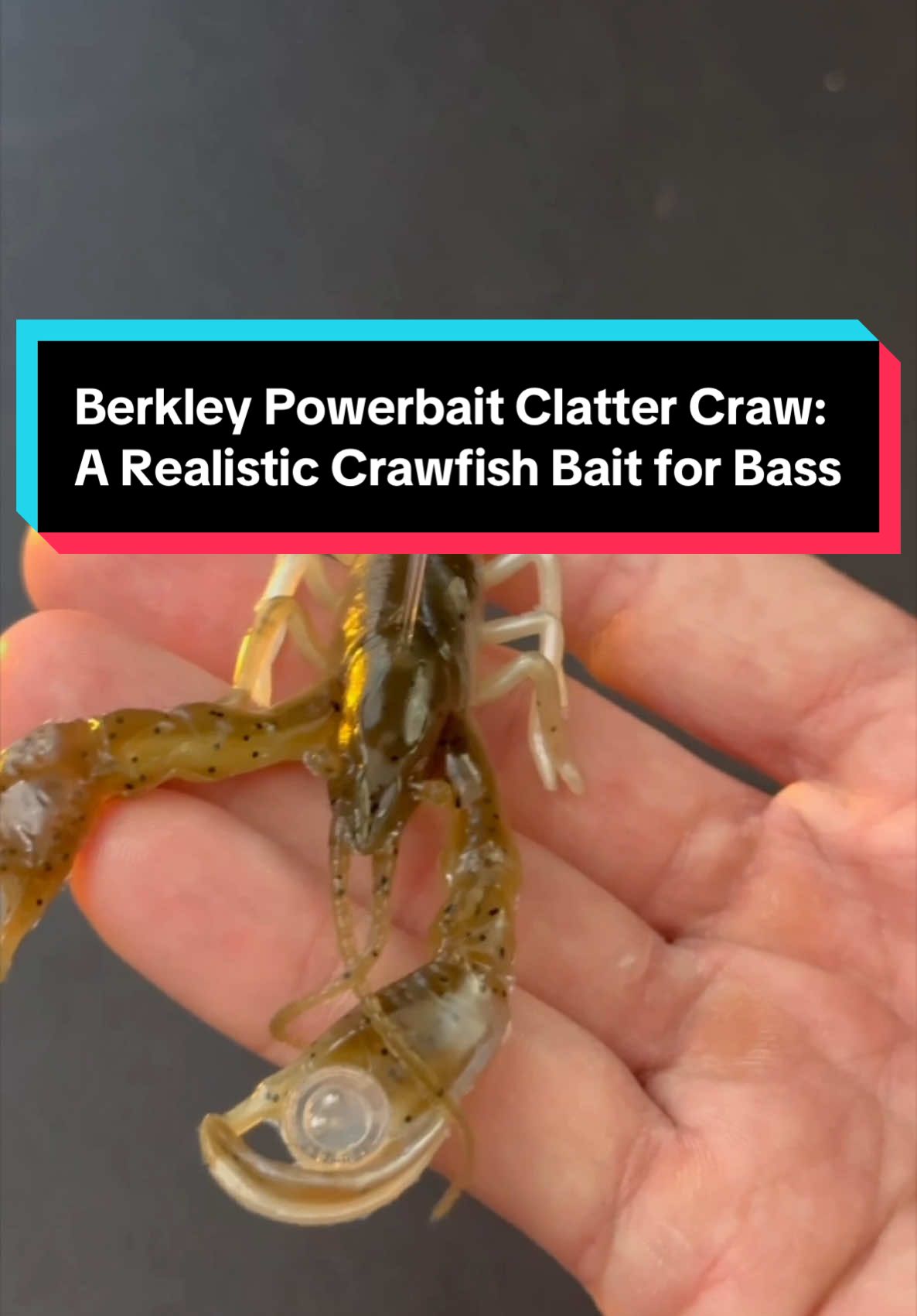 Berkley Powerbait Clatter Craw: A Realistic Crawfish Bait for Bass #fishing #fyp #bassfishing #fishinglife #fishingtips #fishinggear #fishingtiktoks #fishingvideos 