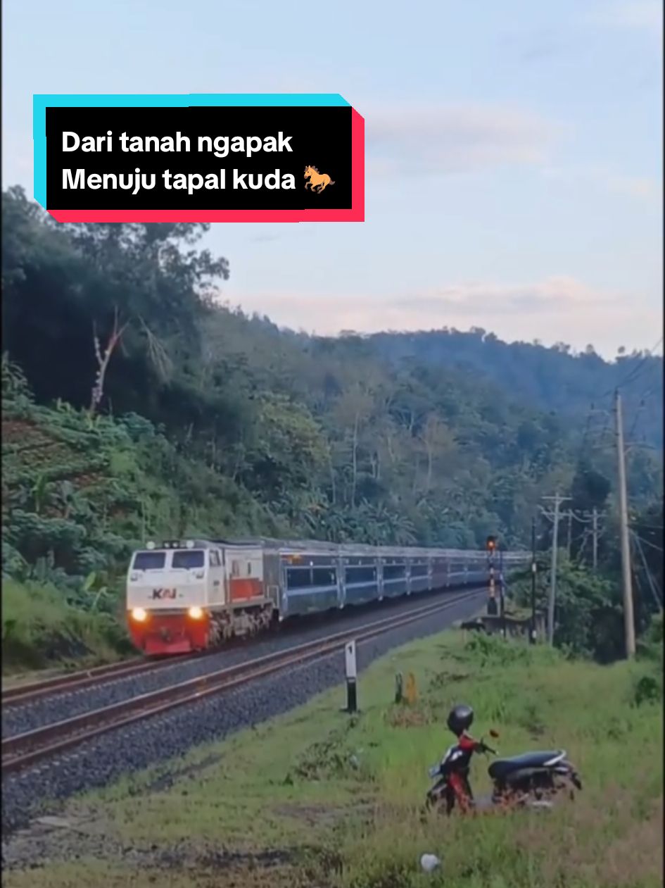 KA 212 Logawa relasi Purwokerto-Jember saat melewati petak Notog-Kebasen #keretaapi #keretaapiindonesia #kereta #railfans #ralifansindonesia #fyp 