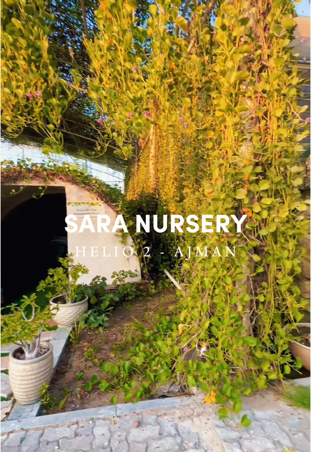 Sara  Nursey - Ajman #newinuae #ajman #saranursery #garden #nursery #plants #animals #farm #farmanimals 