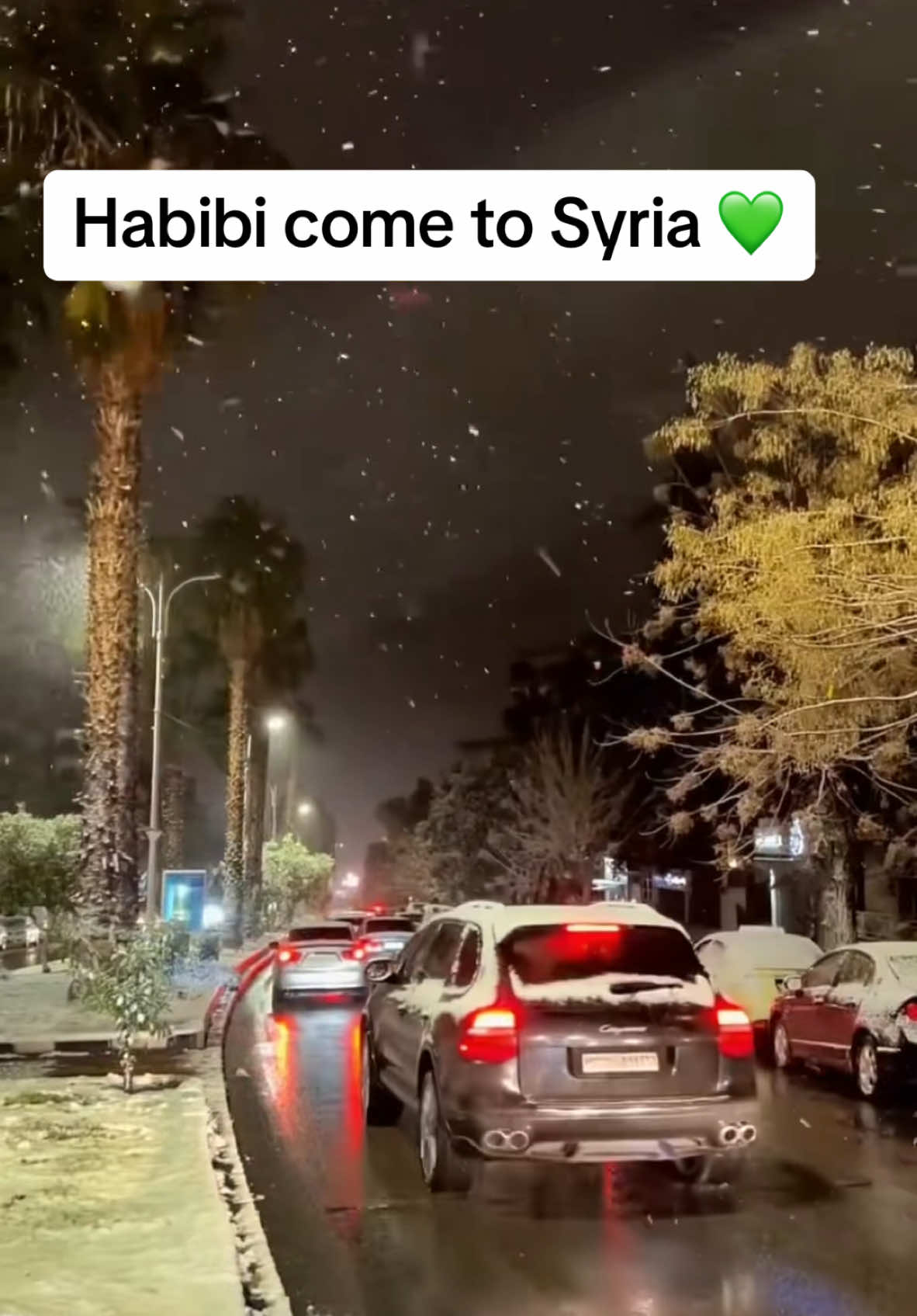 Come to Syria 💚🤍🖤#syrien #963 #سوريا #saydnaya #fürdichpage #عرب #syria #fürdich #مظاهرات #حرية #explore #سوريين #شتوتغارت #ميونخ #برلين #فرانكفورت #urlaub #urlaubsreif 