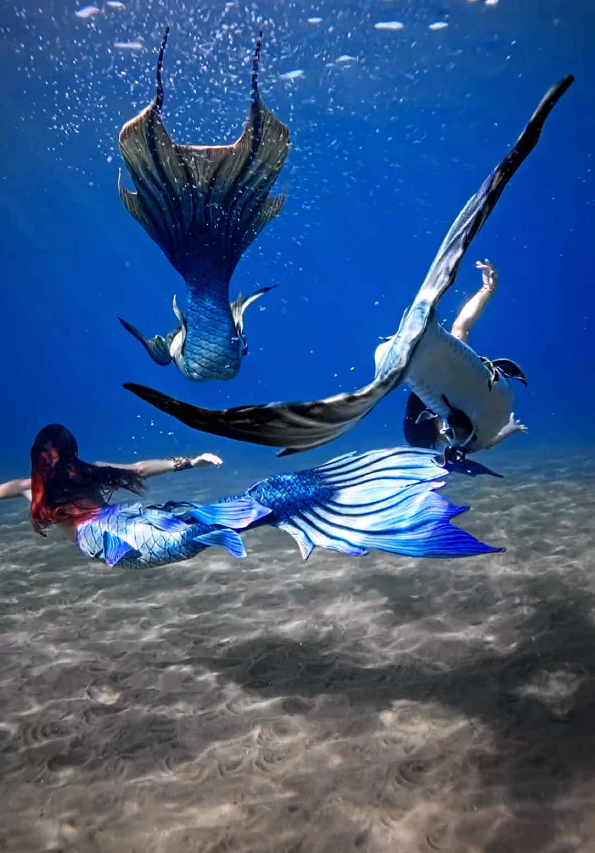 ✨🫧 The ocean is calling us home… #mermaid #mermaidtail #mertok #mermaidtiktok #mermaidcore #moana #moana2 #underwater