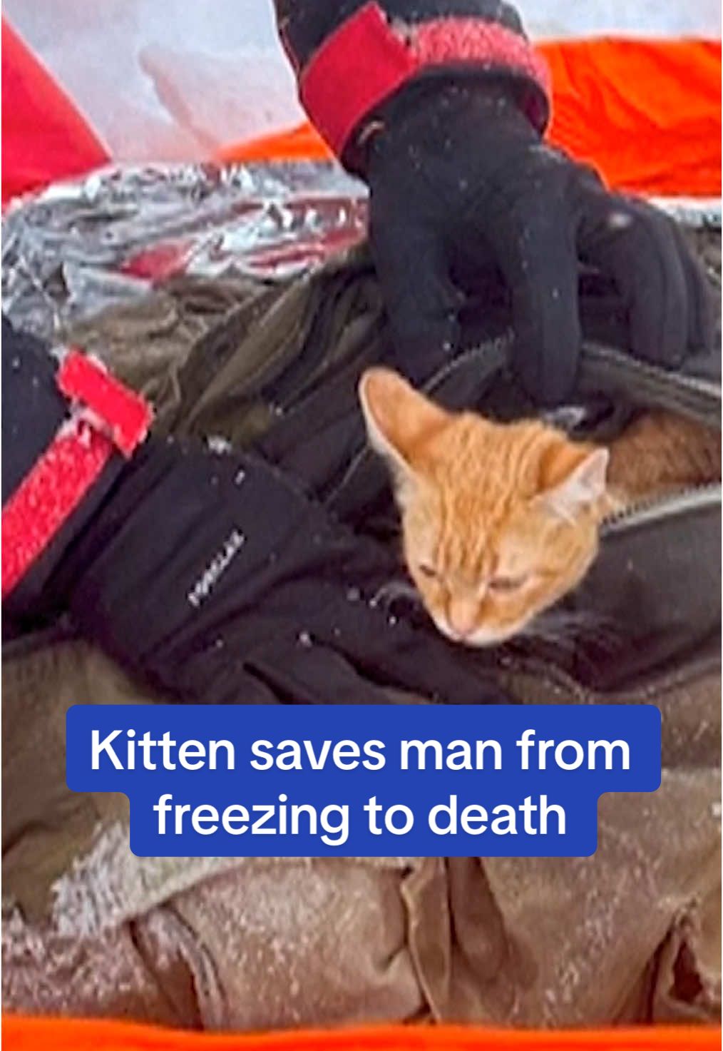 A Ukrainian man escaping the turmoil of war to Romania was found clinging to life in a freezing mountain ravine, with only his young kitten, Peach, as his companion. Rescuers battled through a blizzard to reach the 28-year-old, who was discovered in a 1312-feet deep gorge in the northern Maramures region, suffering from severe hypothermia. Vladislav Duda had fled Ukraine to avoid being drafted into his country’s armed forces fighting Russia. ‘The cat was warm and was warming him … so he saved his life,’ Dan Benga, the director of the Maramures Mountain Rescue Service, told The Associated Press. ‘The only thing we saw he is caring about is the cat. He doesn’t care about himself.’ 🎥 AP #news #europe #ukraine #romania #war #snow #cats