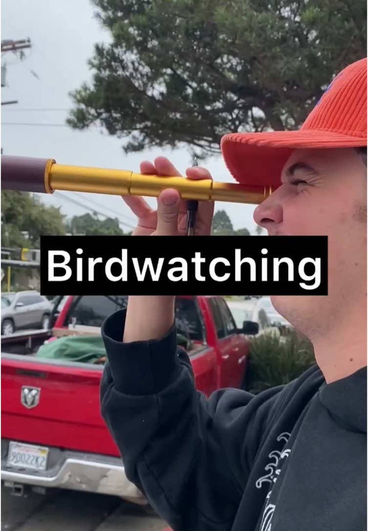 Birdwatching. @Willy Donnellon @Cash App #cashapppartner 