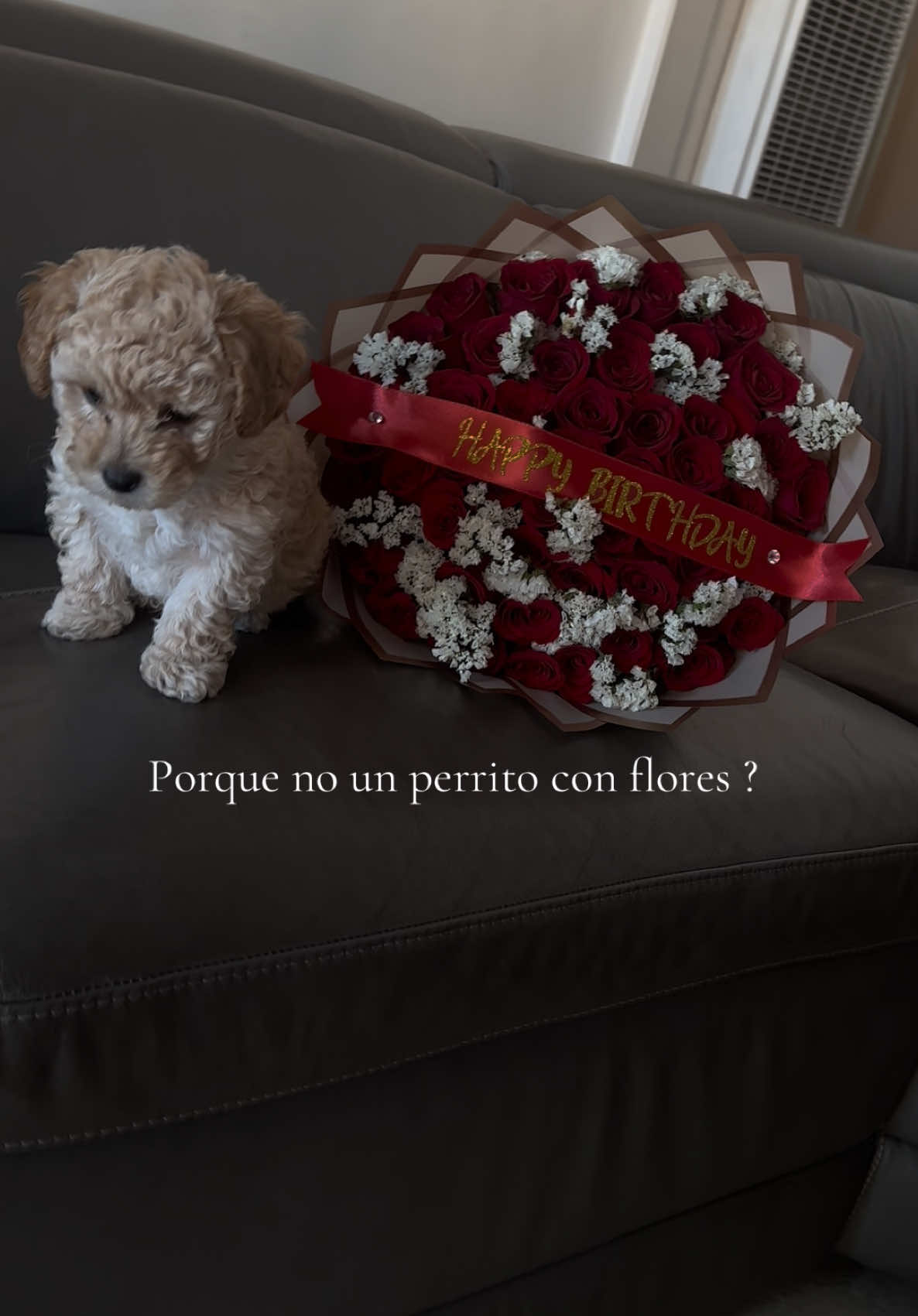 Hint hint, book with me ;) :flowersbyhailie  #fyp #flowers #explore #bouquet #viral #relatable #ramo #ramobuchon #puppy #titodoublep #foryoupagе 