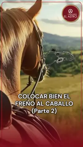 👀 Hoy te explicamos cómo se debe poner el freno a tu caballo ✅ Parte 2 😁 Ten en cuenta lo siguiente a la hora de hacerlo: 1️⃣ La pata del freno debe quedar hacia el cuerpo del caballo.  2️⃣ La barbada debe quedar con un dedo de espacio de la quijada y el freno.  3️⃣ Tener en cuenta que cada freno es especial para su uso y la barbada debe apretarse para trabajarlo según su montador. 💬 Alguna recomendación adicional a esta parte del proceso? Déjanos tus opiniones en los comentarios 📲 🤳 Comparte con tus amig@s y familiares para que tengan esta info clara 👏🏻  #amorporloscaballos #conexionconloscaballos #pasofinocolombiano #trochaygalopecolombianos #troteygalopecolombiano #trochapuracolombiana #viveapasofino 
