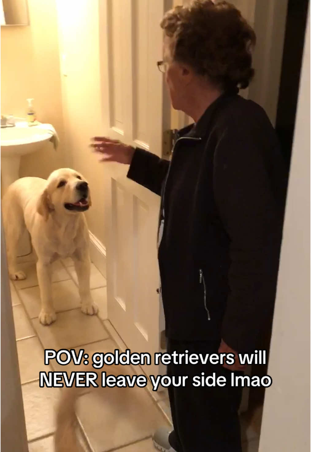 And your italian grandmother is OVER IT 😭🤣#goldenretriever #fyp #viral #dogtok #creatorsearchinsights 