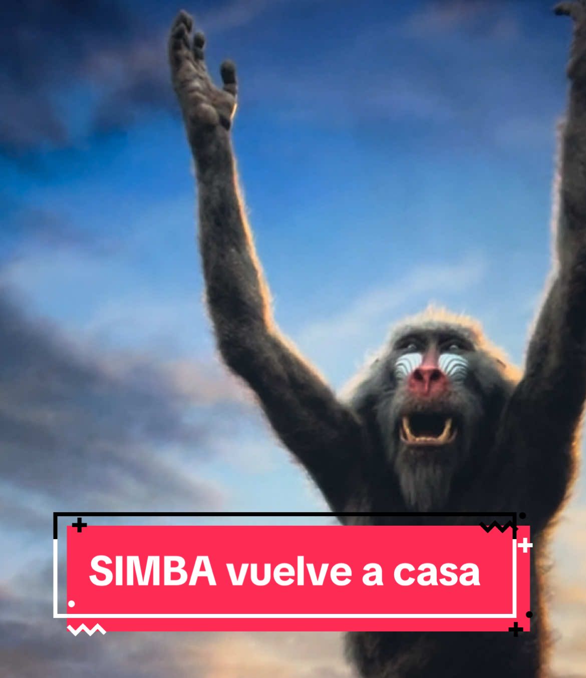 Simba vuelve a recuperar su reinado 🦁👑 “vida real”  #elreyleon #simba #timonypumba #hakunamatata #thelionking #scar #mufasa #africa #disney #cine #scene #escena #movie #peliculas #pelicula #clip #clips #DIY #logervideos #3mintiktok #tiktok #tiktokespaña #tiktokmexico #mexico #tiktokworld #world #rafikinani #parte 