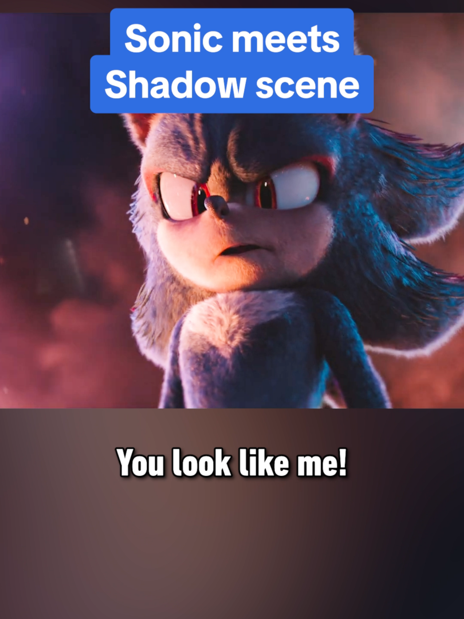 So...why DO Sonic and Shadow look like each other? #sonic #sonic3 #sonicmovie #sonicmovie3 #sonicthehedgehog #shadowthehedgehog #gaming #movie #keanureeves