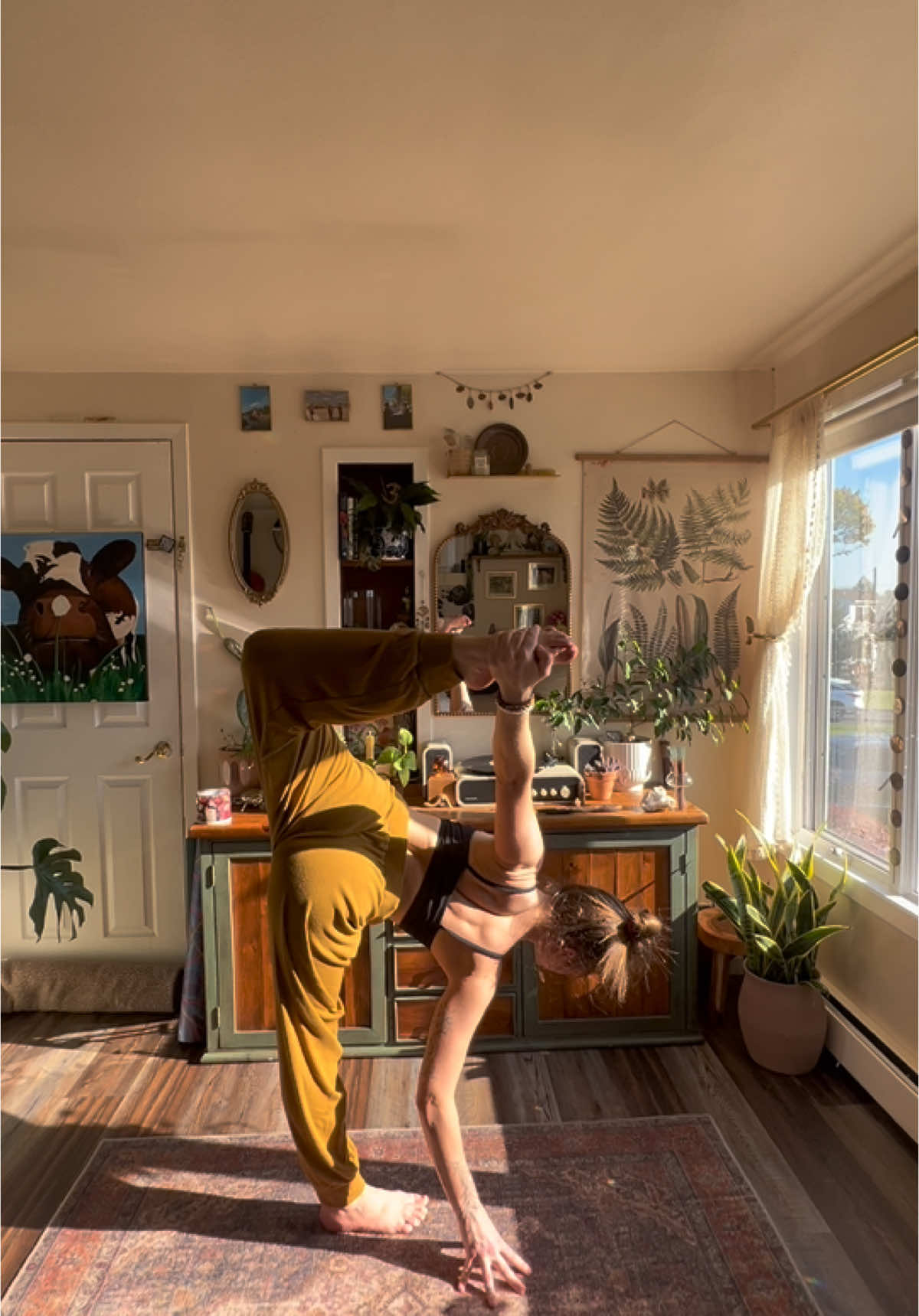 Sugarcane play, and plants in the way ✨  #yogi #yoga #balance #sugarcane #plantmom #movement #balancechallenge #yogapractice #dailyyoga #fyp #awareness 