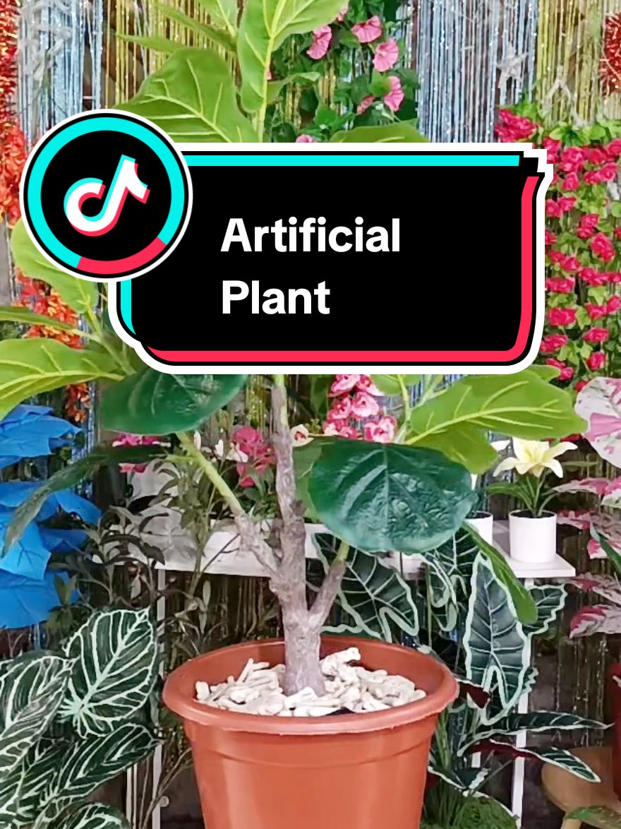 #LIVEhighlights #TikTokLIVE #LIVE #artificialplants 