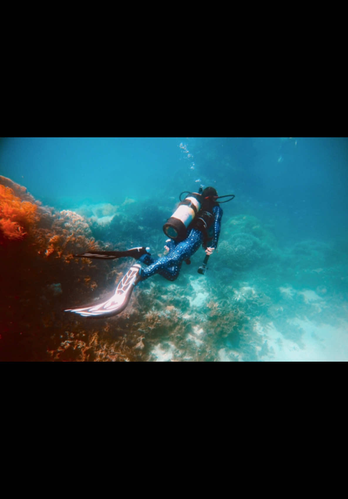 Missin summer in the land down under 🇦🇺🦘🐨🐬                                     #fyp #fyppppppppppppppppppppppp #travel #landdownunder #australia #travelgirl #traveltok #travelgoals #scubadiving #dolphin