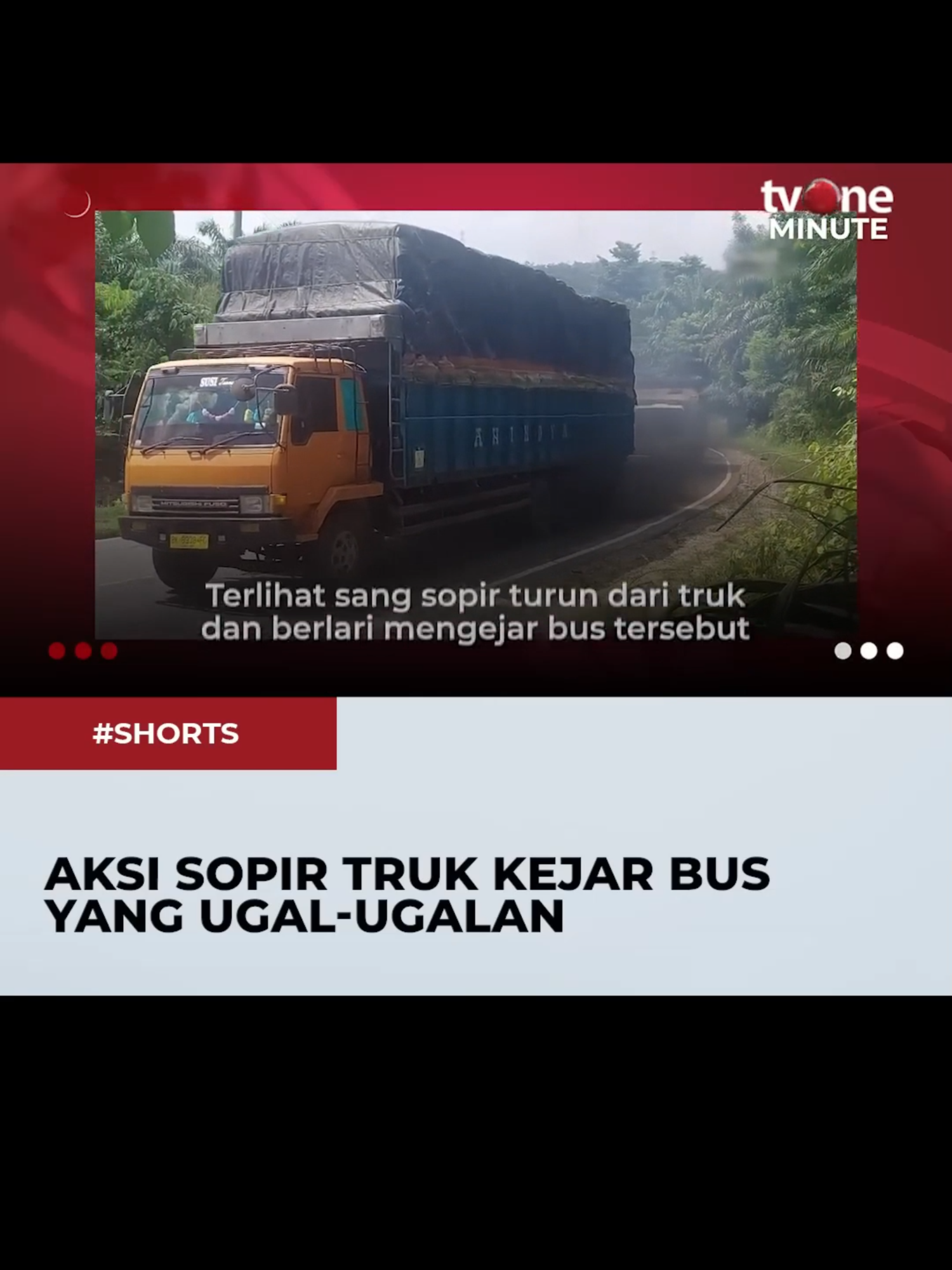 Hindari bus yang ugal-ugalan, sebuah truk terperosok ke semak-semak  #lakalantas #kecelakaan #crash #tabrakan #fyp #dishub