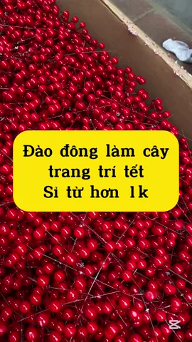 Nhánh đào đông em về sll cho các bác trang trí cành đào tết ạ