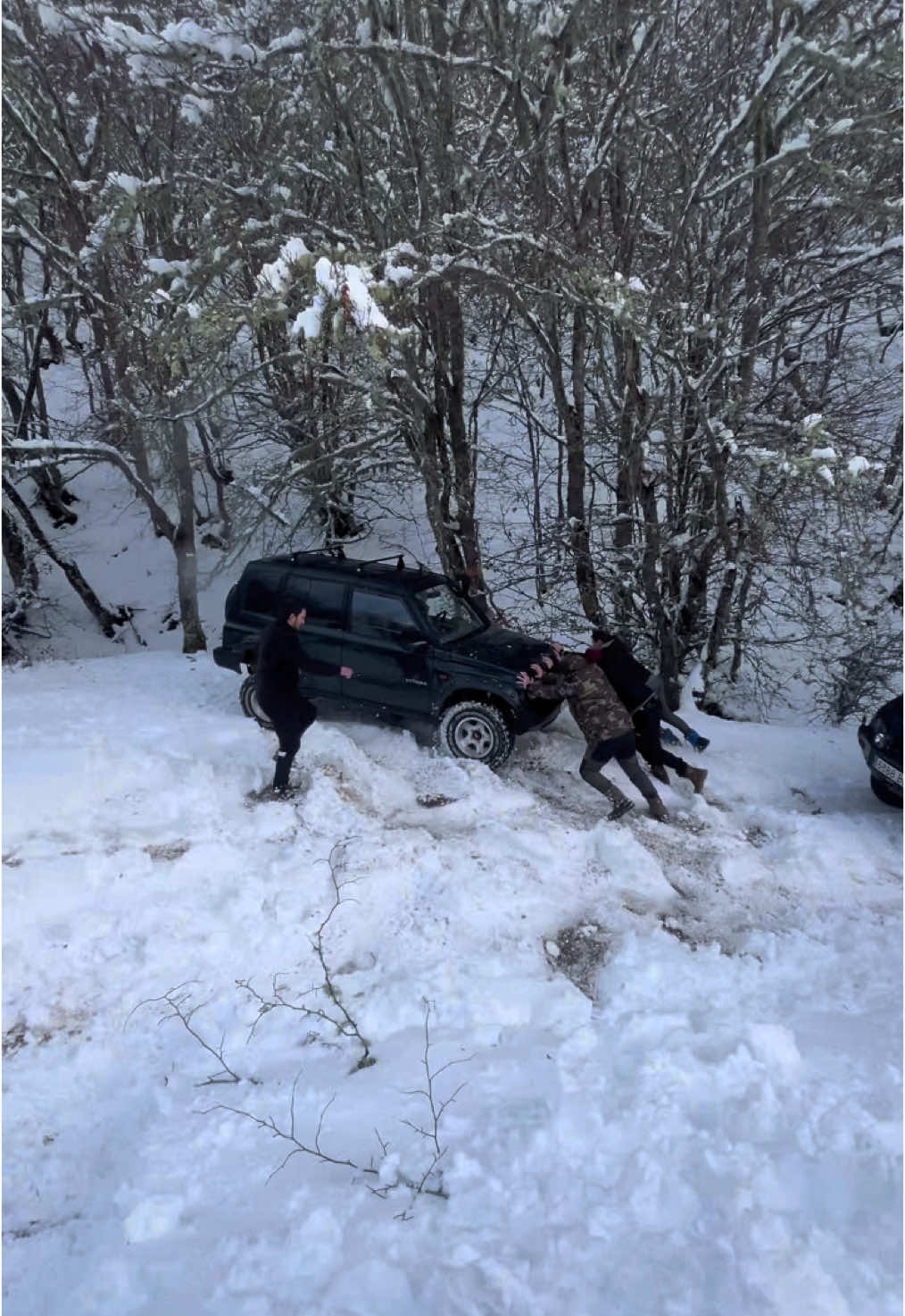 Ruta con la primera nevada del invierno #CapCut #parati #mitsubishi #offroadlife #offroading #4x4offroad #offroad #4x4 #l400 #spacegear #kiasorento #leon #patrol #nissanpatrol #montero #monterosport #paratiiiiiiiiiiiiiiiiiiiiiiiiiiiiiii 