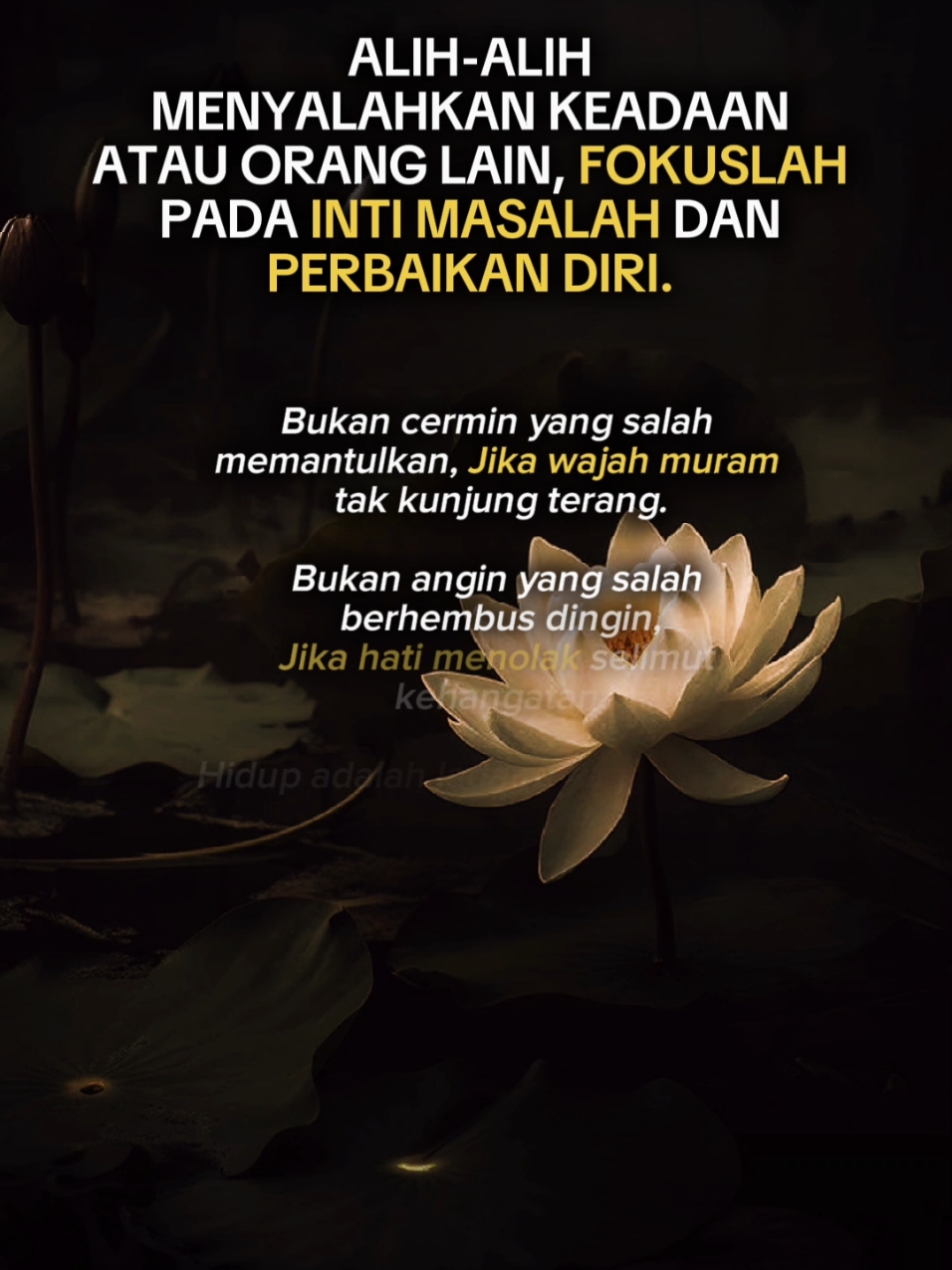 #Introspeksi #renungan #kehidupan #fokus #perbaikandiri #1  #refleksi #quotes #kutipan  #motivasi #openyourmind #openyourheart #bijaklahbersikap #katakatabijak #Template #CapCut 