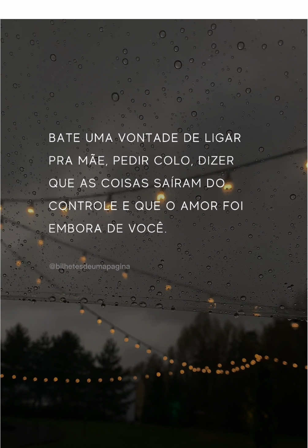 Trecho do livro: Todas as coisas que eu te escreveria se pudesse #citacoes #livrostiktok #poetas #leitor 