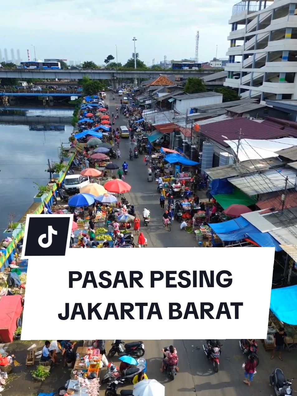 Melihat dari dekat Kesibukan Pasar Pesing yang ada di Jakarta Barat #pasar  #pasartradisional  #pasarpesingjakbar  #jakarta #jakartabarat  #kedoyautara  #kebonjeruk  #fyp #fypage #fypシ゚  #fyppppppppppppppppppppppp 