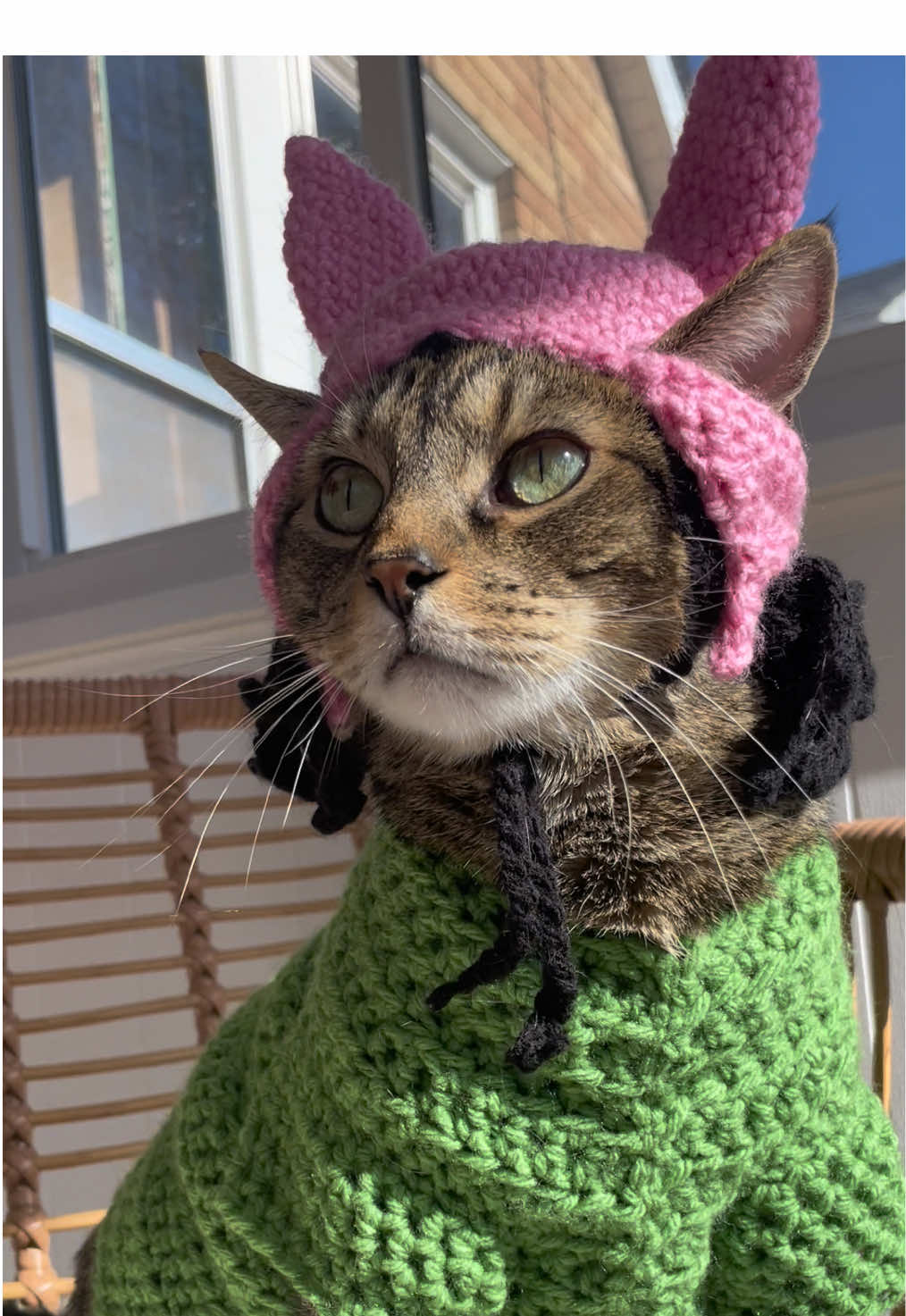 Look at those conflict resolution skills 👏🏻👏🏻 #tinabelcher #louisebelcher #bobsburgers #chanceinhats #cathat #catsinhats #crochetcathat #cosplay 