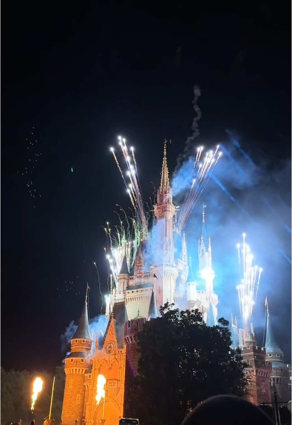 pov : healing ur inner child 🥹💖 #tokyodisneyland #disneyland #disneysea #japan 