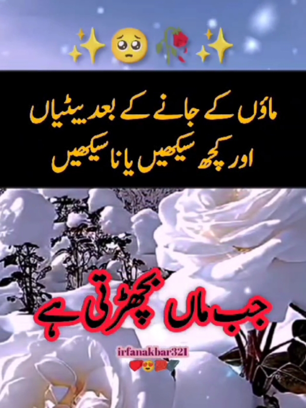 anmol baten ma jab bichrari ha#islamic_video #urdupoetry #learnwithtiktok #video #viral #trending #tiktok #foryoupage #foryou #fypシ゚viral #motivation #sad #irfanakbar321 