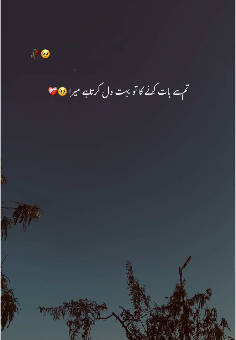 پھر یہ سوچتا ہوں کہ ❤️‍🩹🥹#aesthetic #poetry #poetrystatus #grow #account #foryou #foryoupage #1million #umer_vibes004 