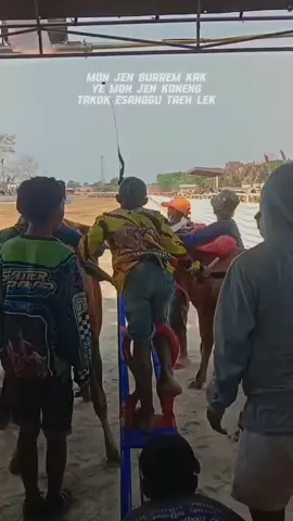 takok esanggu Ceng beceng ruah kak#lewatberanda #katakatamadura #fypシ゚viral #xyzbcafypシ #lewatberanda #fypシ゚viral #katakatamadura 