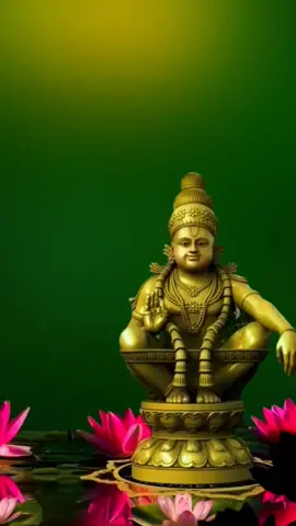 സ്വാമി ശരണം 🙏🕉️🙏#praveenkottayamm #🥰🥰🥰💞💕💕💕💞💞💕💕 #swamisharanam🙏🕉️ 